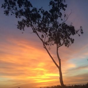 Meet your Posher, Leila